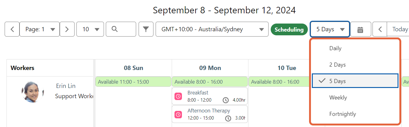 Calendar view options